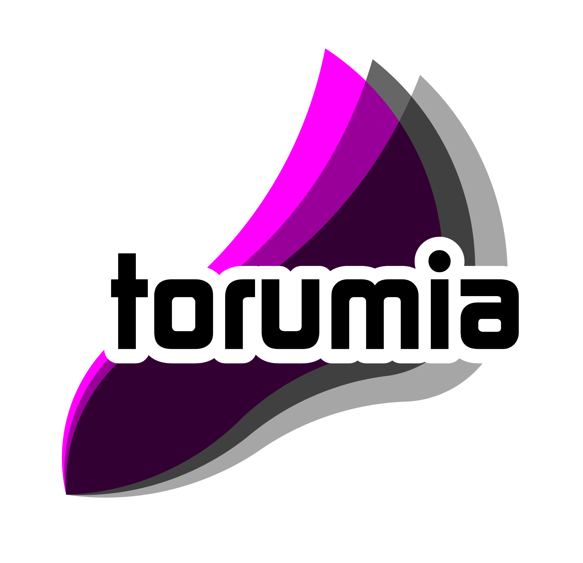 Torumia - B2B portál